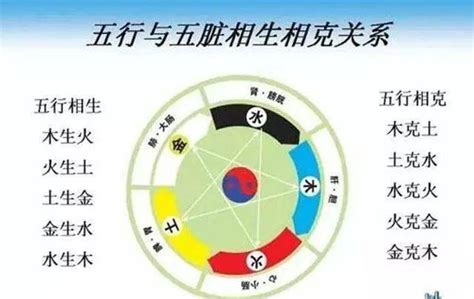 金克什么|“五行相克”，分别是什么克什么？